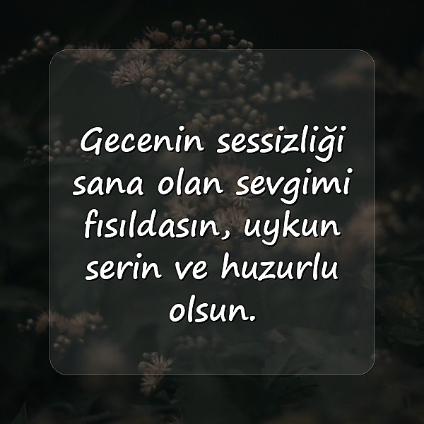 En Tatlı İyi Geceler Mesajları - 22