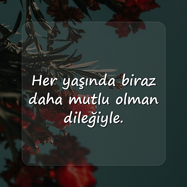 etkileyici doğum günü mesajları - 11