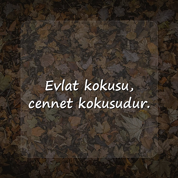 evlat sözleri - 5