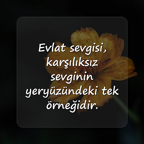 evlat sözleri - 2