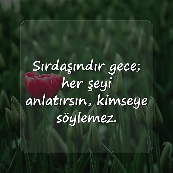 gece sözleri - 22