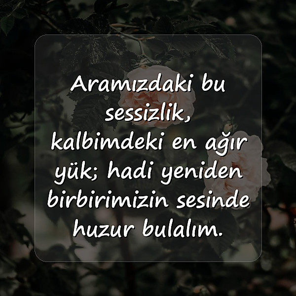 Gönül alma sözleri - 1