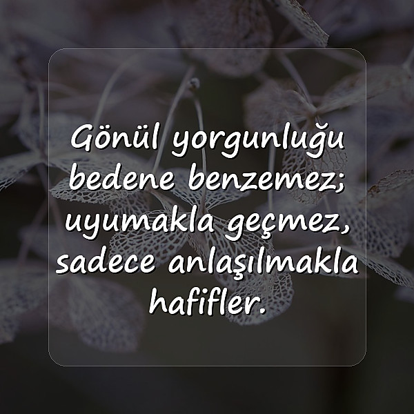 gönül ile ilgili sözler	 - 6