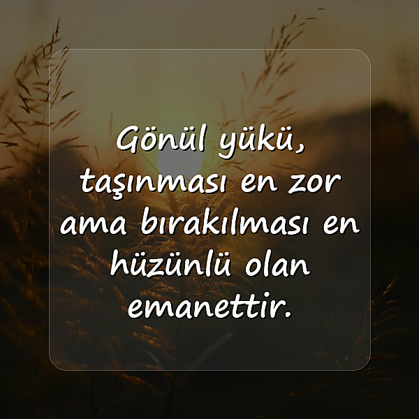 gönül ile ilgili sözler	 - 11