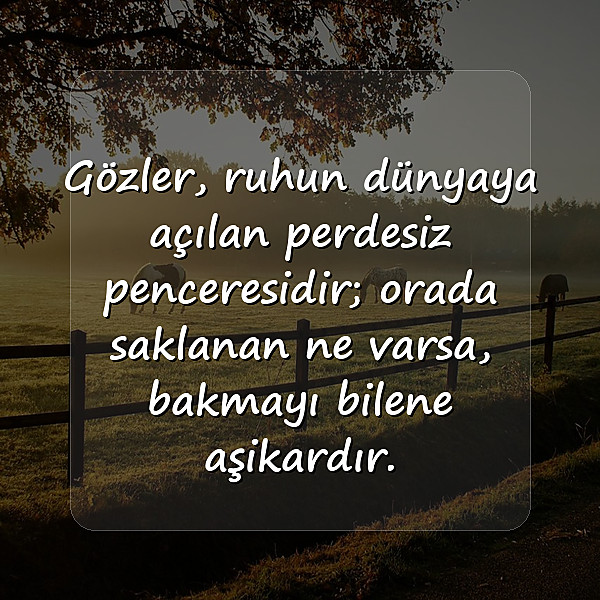 gözler ile ilgili sözler - 10