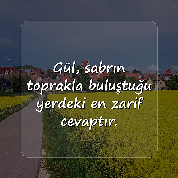 gül ile ilgili sözler - 10