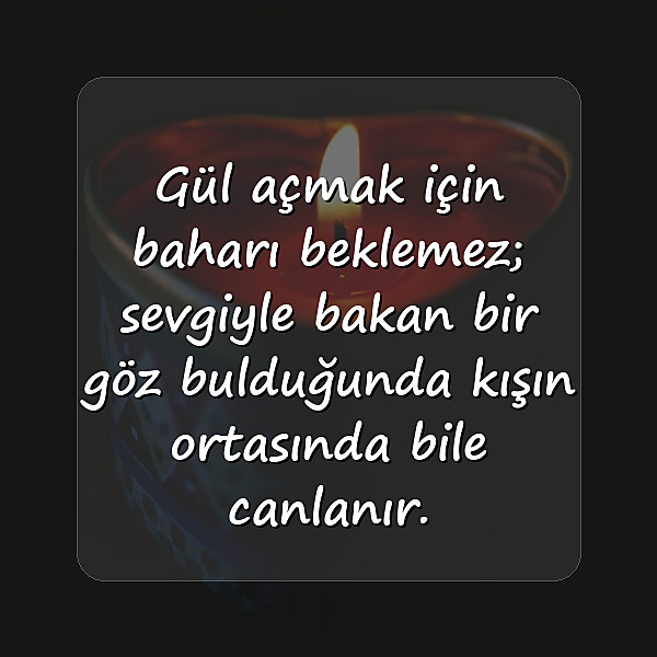 gül ile ilgili sözler - 6
