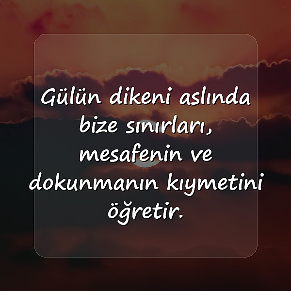 gül ile ilgili sözler - 11