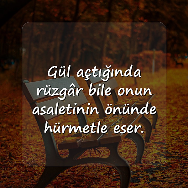 gül ile ilgili sözler - 7