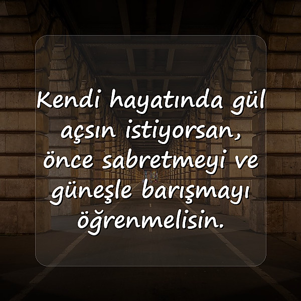 gül ile ilgili sözler - 3