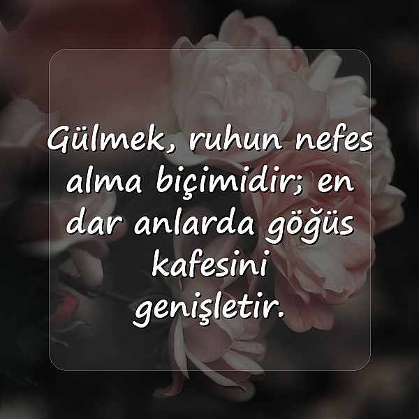 gülmek ile ilgili sözler - 10