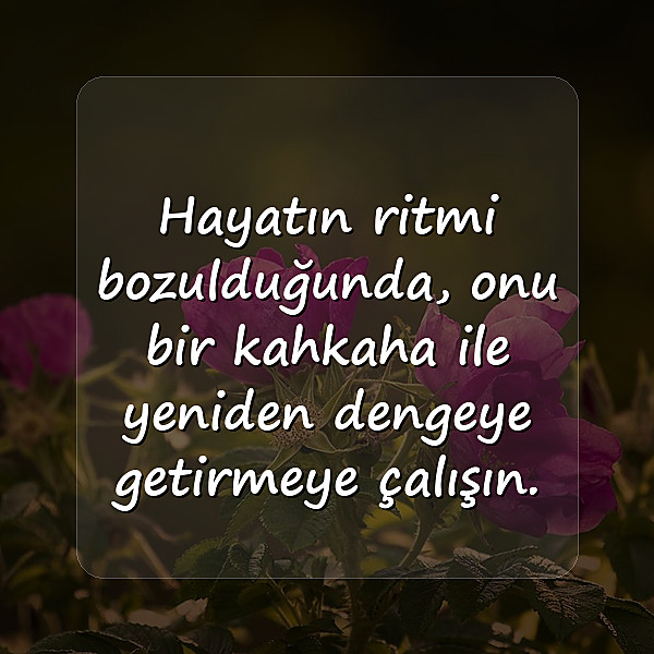 gülmek ile ilgili sözler - 3