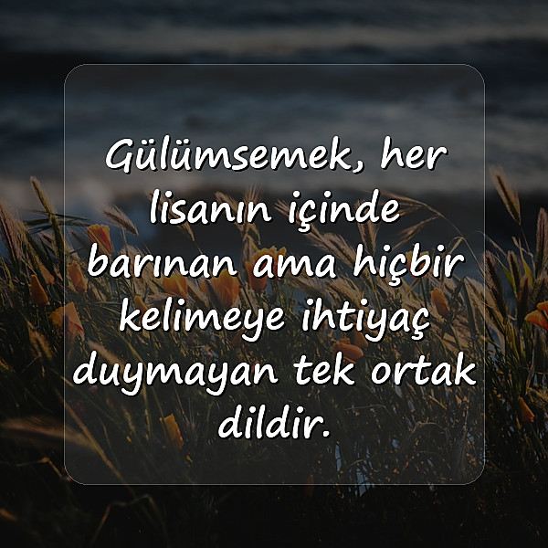 gülümsemek ile ilgili sözler - 6
