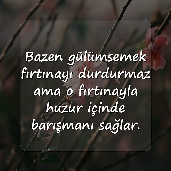gülümsemek ile ilgili sözler - 2