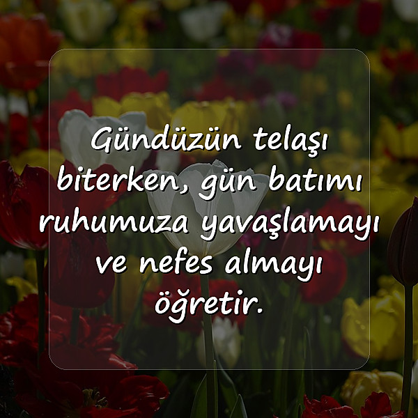 gün batımı ile ilgili sözler - 3