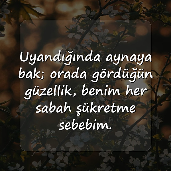 günaydın aşk sözleri - 11