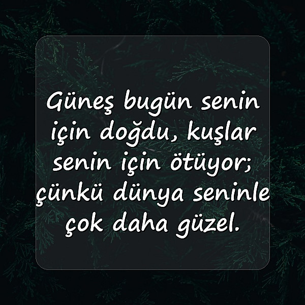 günaydın aşk sözleri - 7