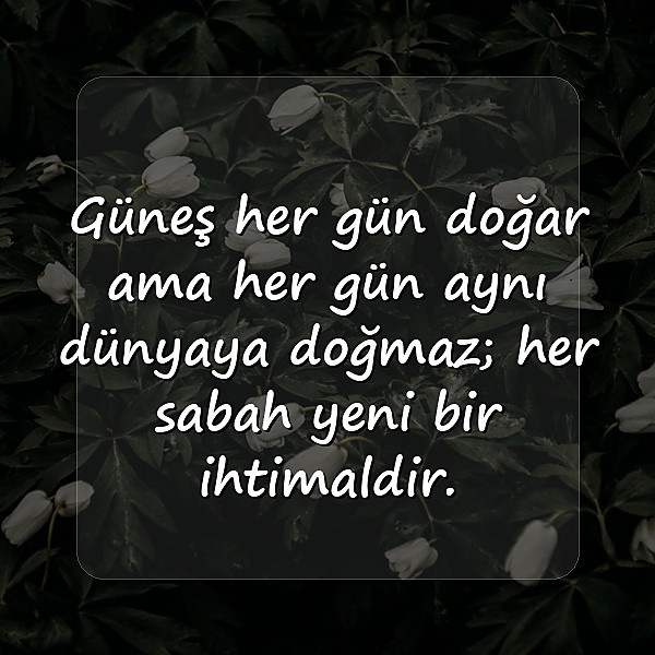 güneş ile ilgili sözler - 10