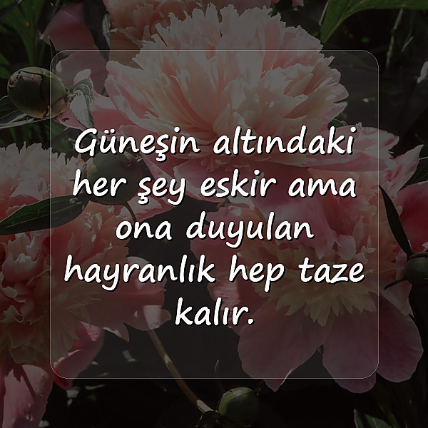 güneş ile ilgili sözler - 11