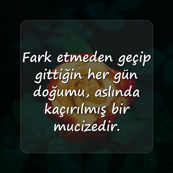 güneş ile ilgili sözler - 7