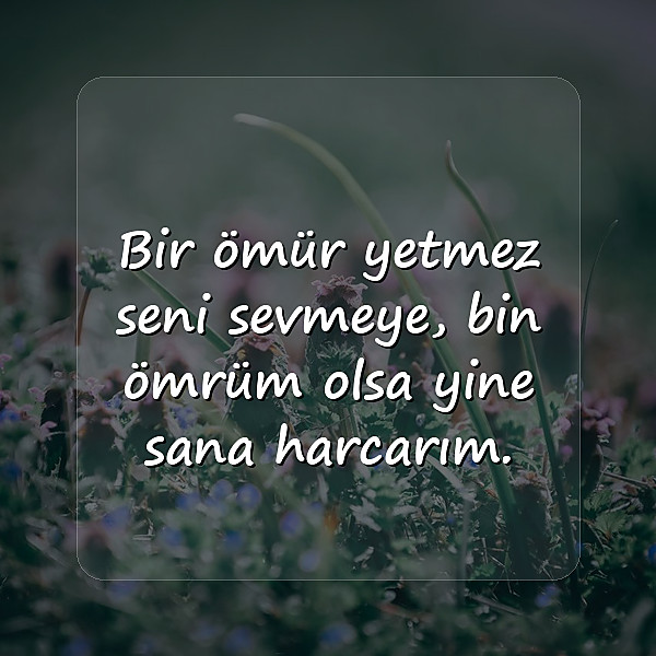 güzel aşk sözleri - 12