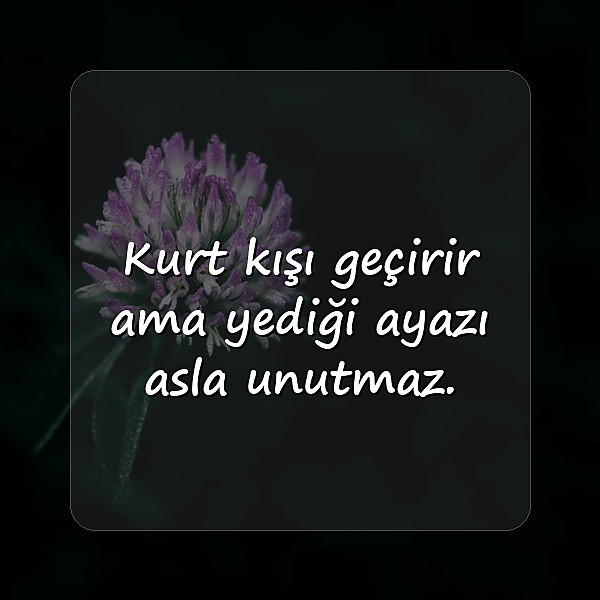 güzel sözler ağır - 5