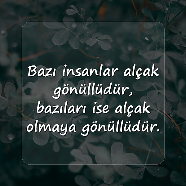 güzel sözler ağır - 1