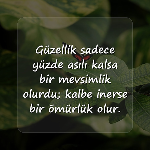 güzellikle ilgili sözler - 10