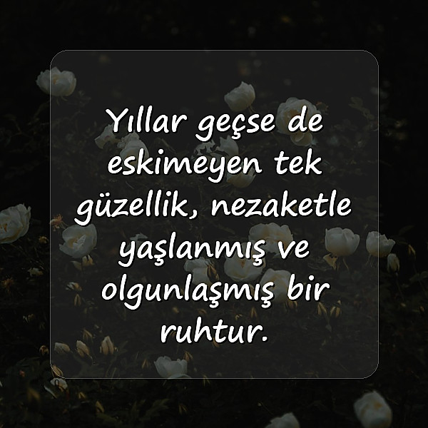 güzellikle ilgili sözler - 2