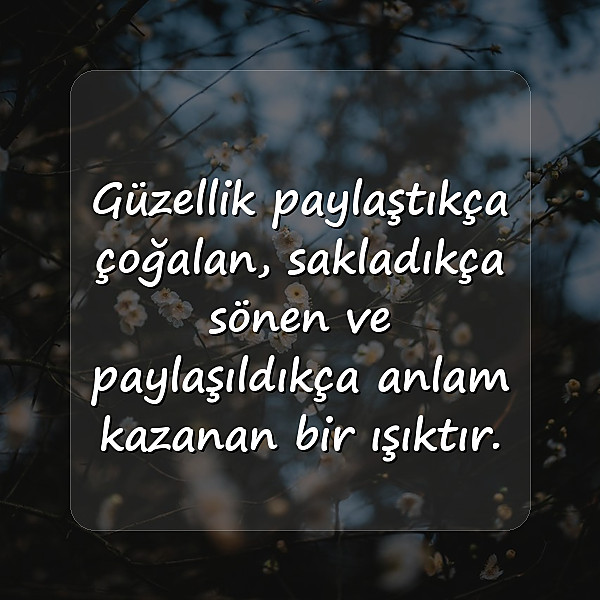 güzellikle ilgili sözler - 7