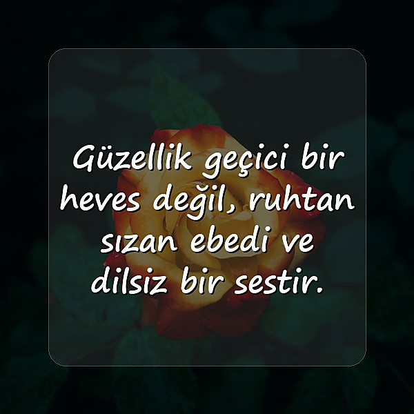 güzellikle ilgili sözler - 3