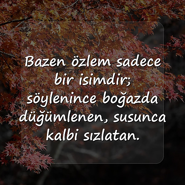 hasret özlem sözleri - 2