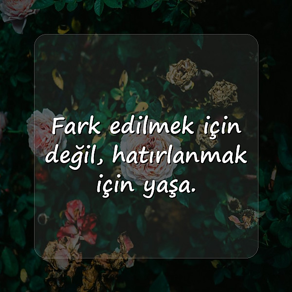 havalı sözler - 21