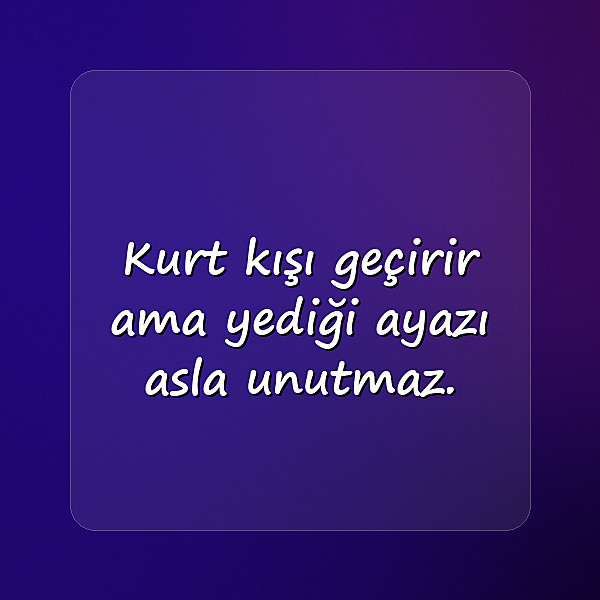 havalı sözler - 13