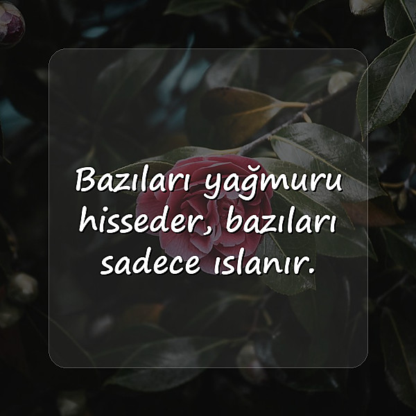 havalı sözler - 18