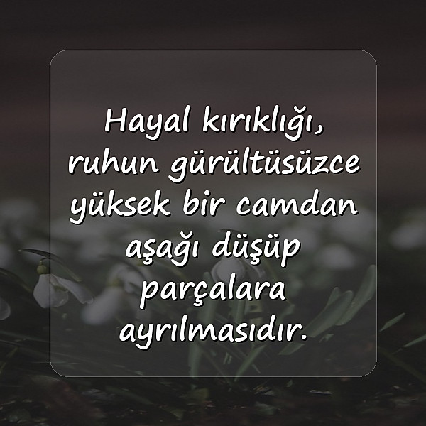 hayal kırıklığı ile ilgili sözler - 10
