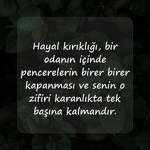 hayal kırıklığı ile ilgili sözler - 6