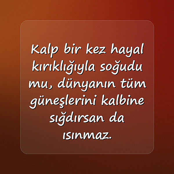 hayal kırıklığı ile ilgili sözler - 23