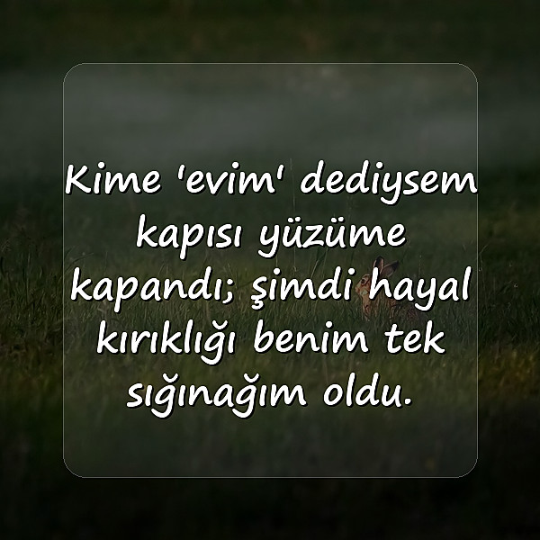 hayal kırıklığı ile ilgili sözler - 11