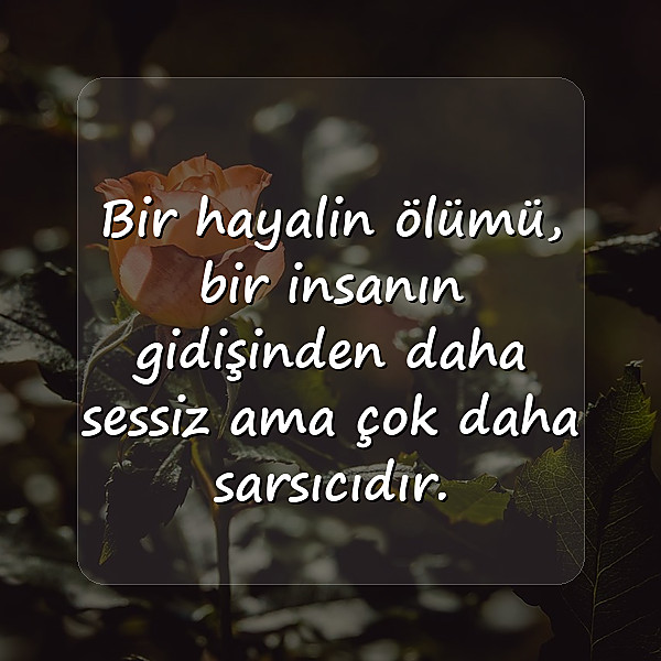 hayal kırıklığı ile ilgili sözler - 7