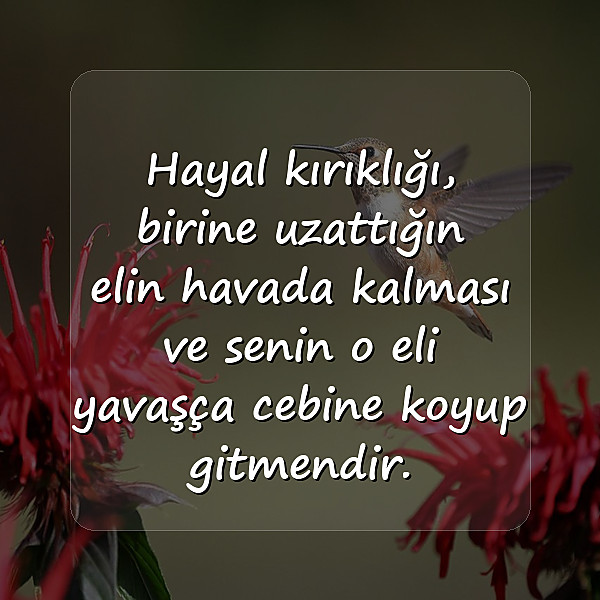 hayal kırıklığı ile ilgili sözler - 3