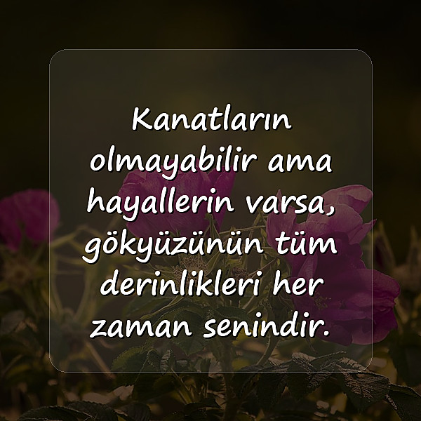 hayallerle ilgili sözler - 1