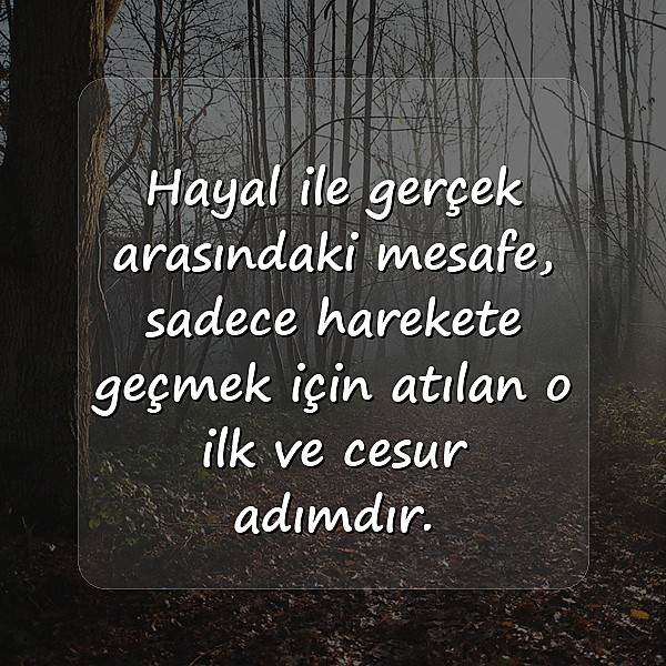 hayallerle ilgili sözler - 7