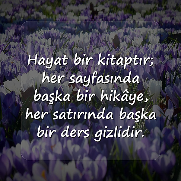 hayat ile ilgili sözler - 25
