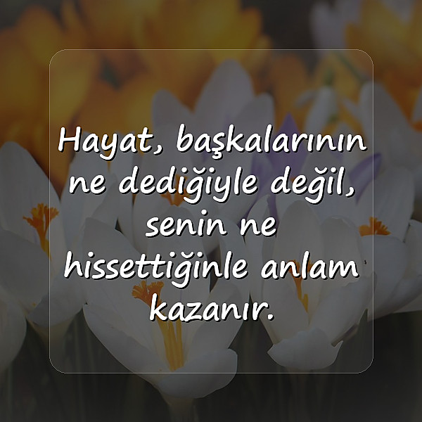 hayat ile ilgili sözler - 17