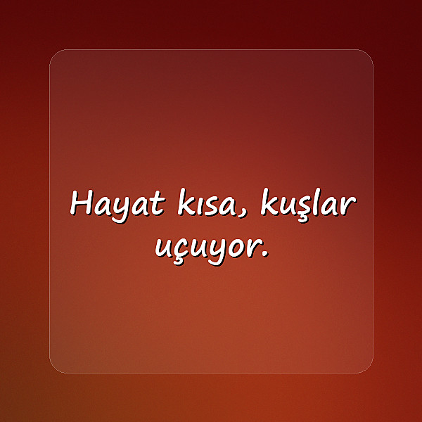 hayat ile ilgili sözler - 5