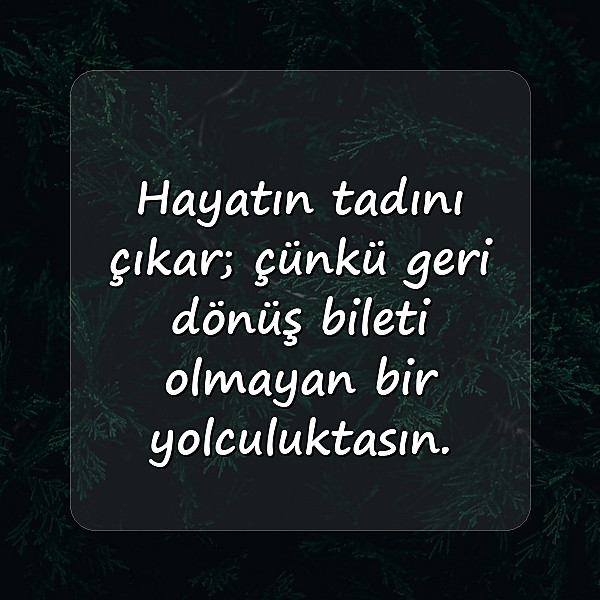 hayat ile ilgili sözler - 18