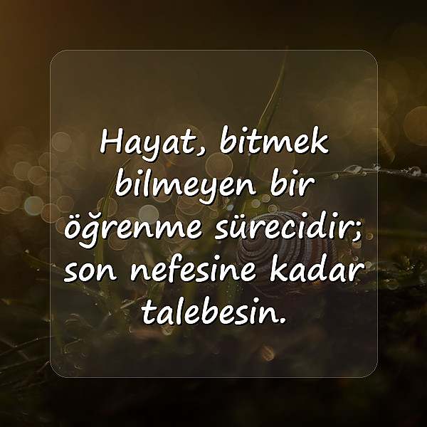 hayat ile ilgili sözler - 2