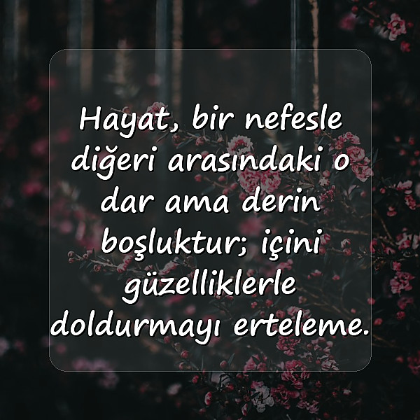 hayat kısa sözleri - 5