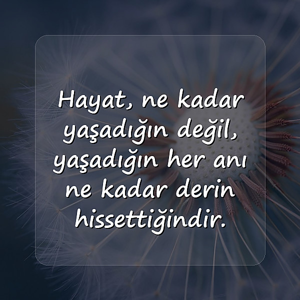 hayat kısa sözleri - 12